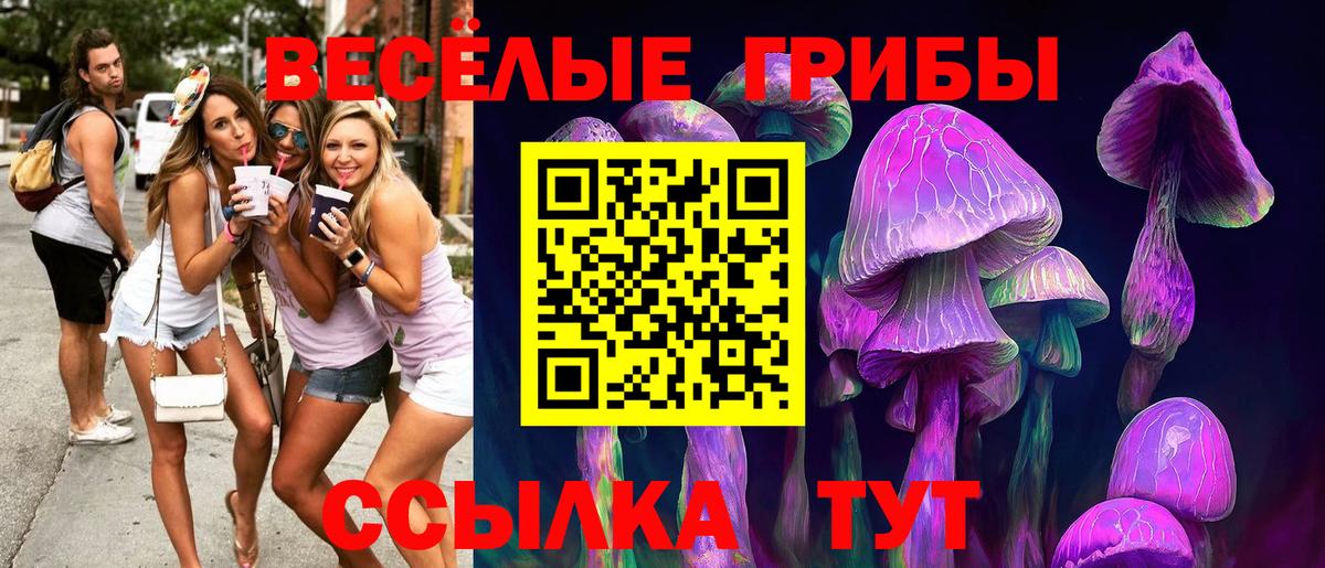 Галлюциногенные грибы ЛСД Фрязино