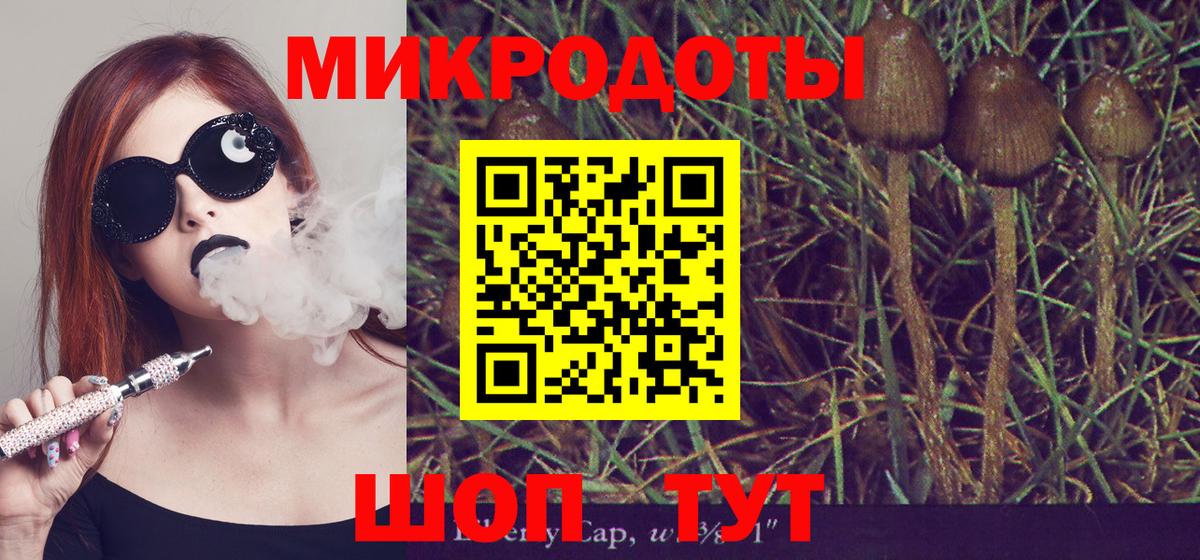 Фрязино  Псилоцибиновые грибы мухоморы  Вход с VPN 